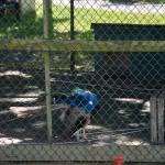 2017OTRA-1_357 (August 24, 2017)